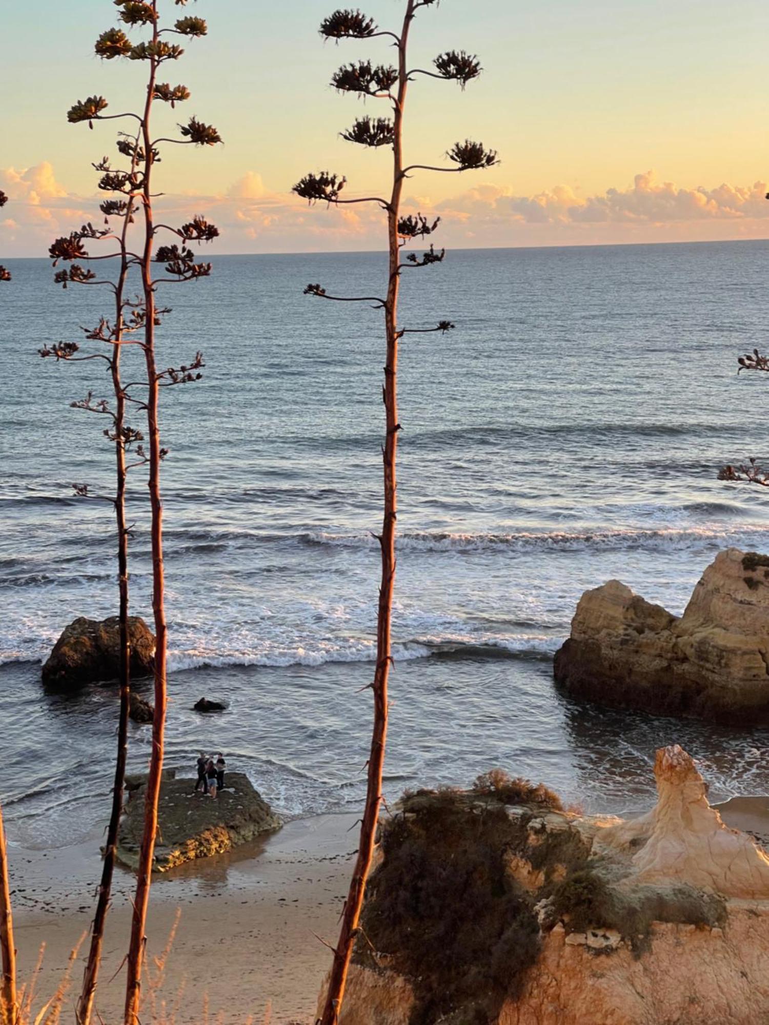 Apartamento Da Avo Te - Em Frente A Praia C Piscina Portimão Extérieur photo